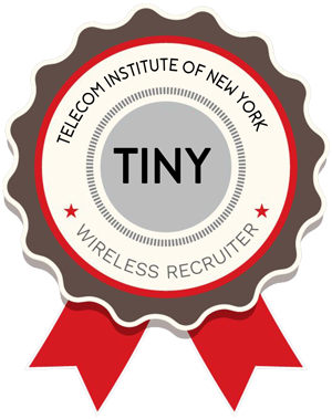 Telecom Institute of New York

3